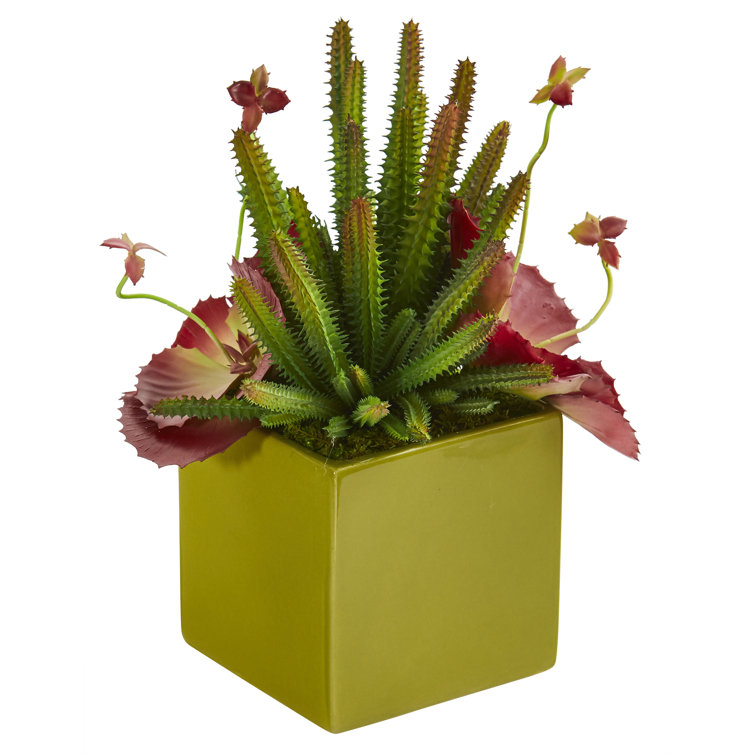 Primrue 11'' Faux Succulent in Pot Wayfair